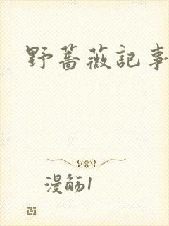 野蔷薇记事薄