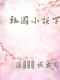 韩国小说下载