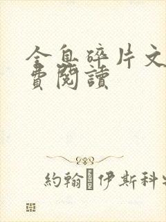 全息碎片文轩免费阅读