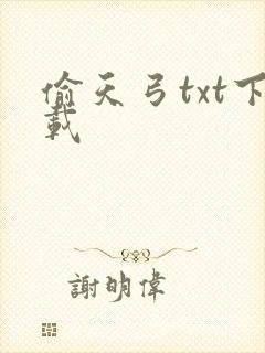 偷天弓txt下载
