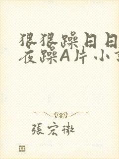 狠狠躁日日躁夜夜躁A片小说