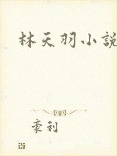 林天羽小说