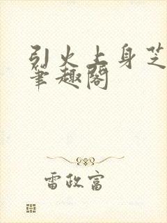 引火上身芝麻糖笔趣阁