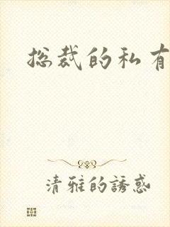 总裁的私有宝贝