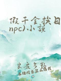 假千金挨日记(npc)小说