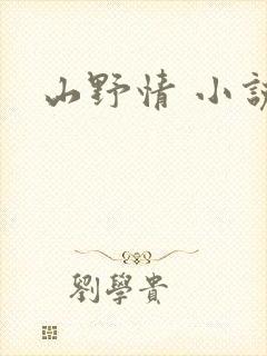 山野情 小说