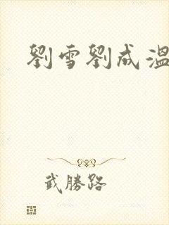 刘雪刘成温泉坊