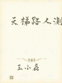 天梯路人测试器