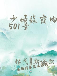 少妇苏霞肉欲第501章