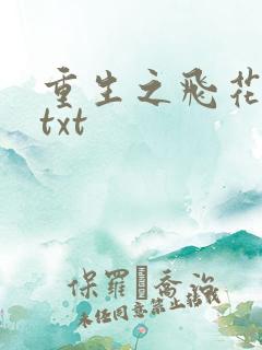 重生之飞花落照txt
