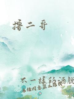 撸二哥