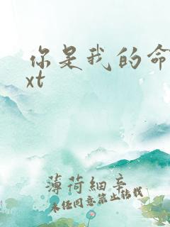 你是我的命运txt