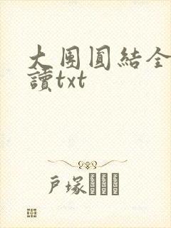 大团圆结全文阅读txt