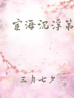 宦海沉浮第三部