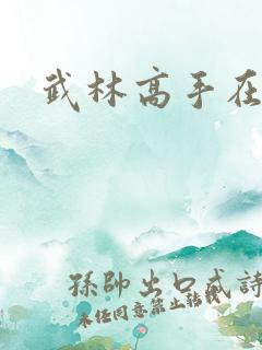 武林高手在官场