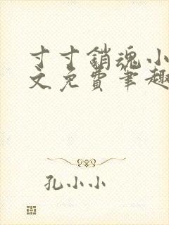 寸寸销魂小说全文免费笔趣阁