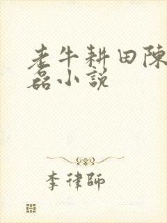 老牛耕田陈雪王磊小说
