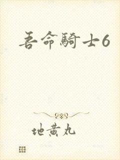 吾命骑士6