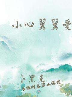 小心翼翼爱上你