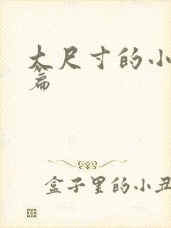 大尺寸的小说短篇