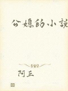公媳的小说