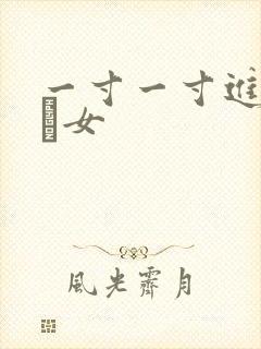 一寸一寸进入小姪女