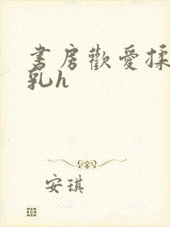 书房欢爱揉捏娇乳h