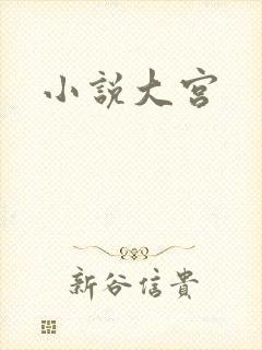 小说大宫