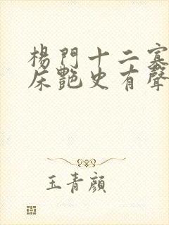 杨门十二寡妇肉床艳史有声小说