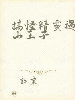 搞怪精灵遇上冰山王子