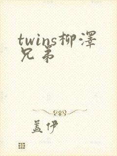 twins柳泽兄弟