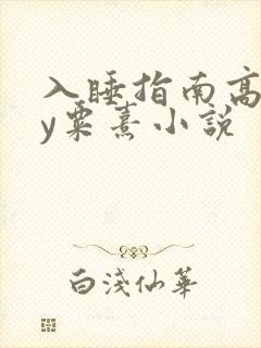 入睡指南高干by粟熹小说