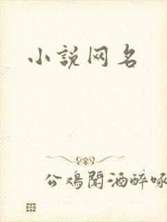 小说网名