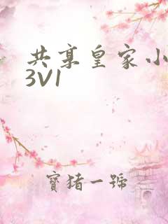 共享皇家小公主3V1