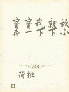 宝宝我就放进去弄一下下小说