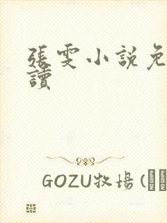 张雯小说免费阅读