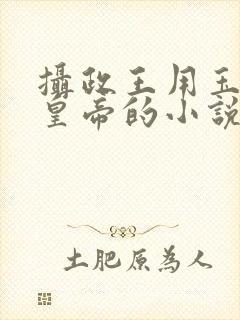 摄政王用玉髓整皇帝的小说