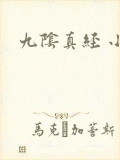 九阴真经 小说