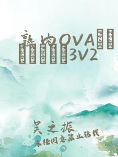 熟肉OVAちゃんはしたい3V2