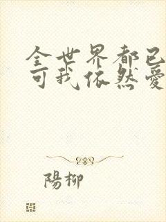 全世界都已剧终可我依然爱你