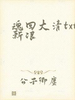 魂回大清txt新浪