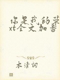 你是我的荣耀txt全文加番外