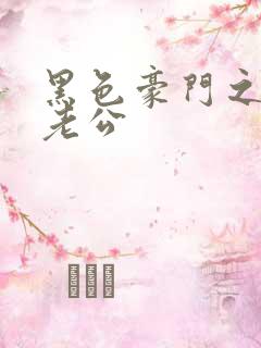 黑色豪门之王子老公