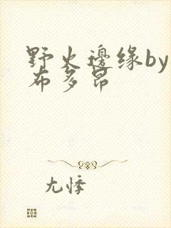 野火边缘by夏布多昂