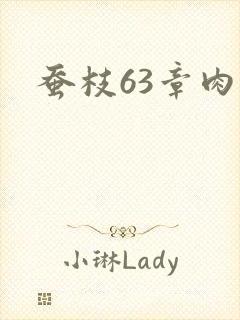 蚕枝63章肉