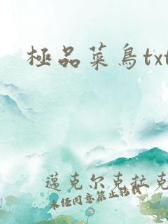 极品菜鸟txt