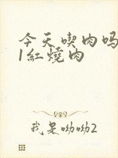 今天吃肉吗1V1红烧肉