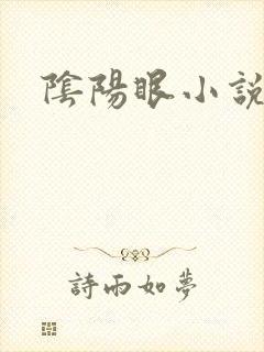 阴阳眼小说