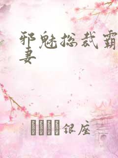 邪魅总裁霸占新妻