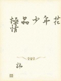 极品少年花都燃情